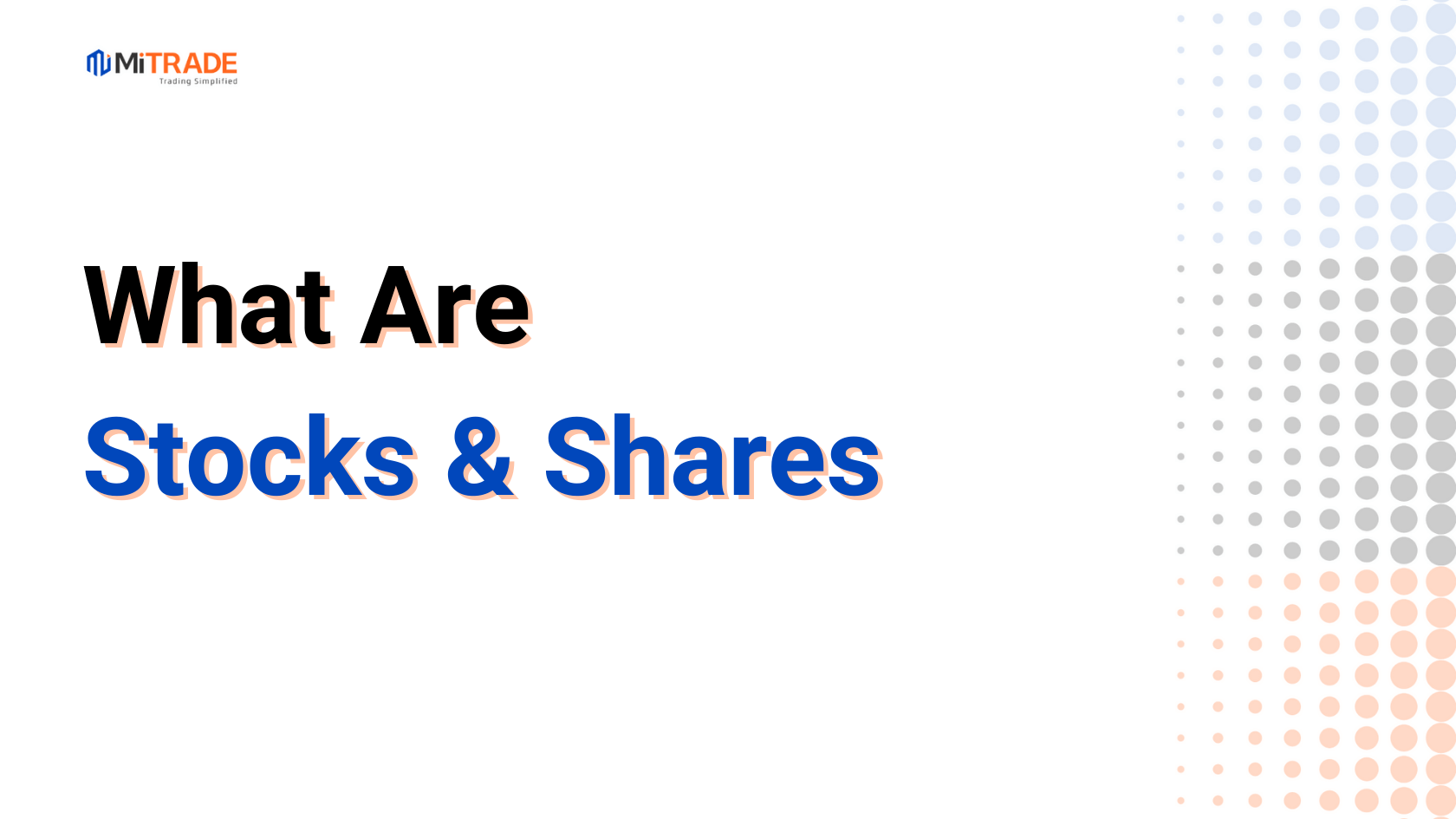 What are Stocks and Shares?