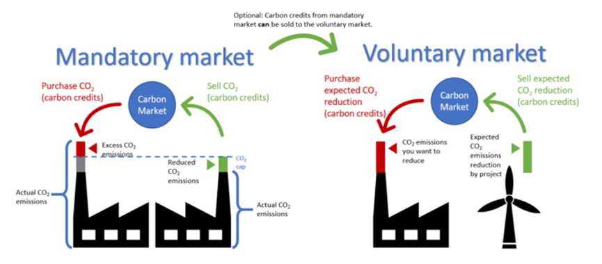  兩種碳權交易市場