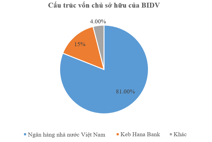 Cấu trúc vốn chủ sở hữu của BIDV