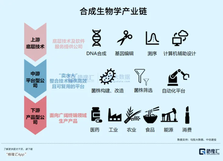 朝气蓬勃的千亿新赛道