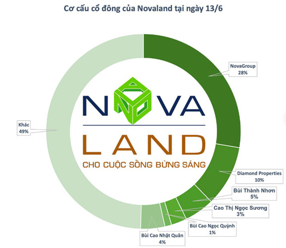 Cơ cấu cổ đông của Novaland