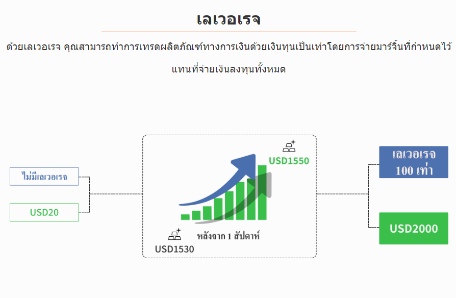 ตัวอย่างของเลเวอเรจในตลาดการเงิน