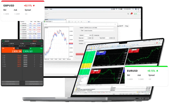 โบรกเกอร์ Forex สเปรดต่ำ: IC Markets