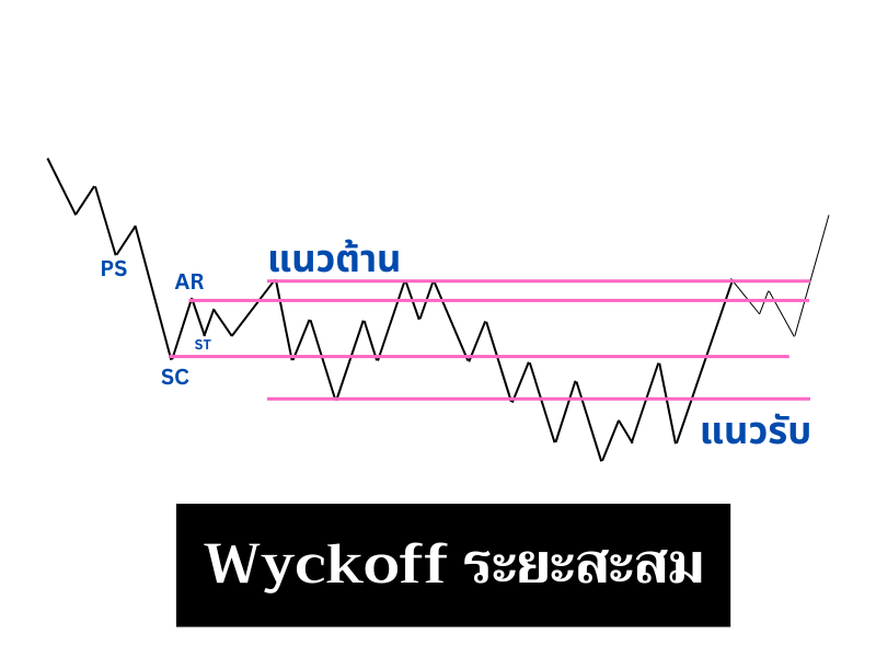 ระยะสะสม (Accumulation Phase)