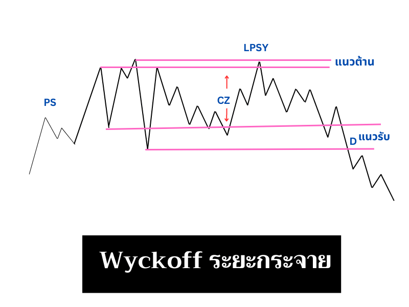 ระยะกระจาย (Distribution Phase)