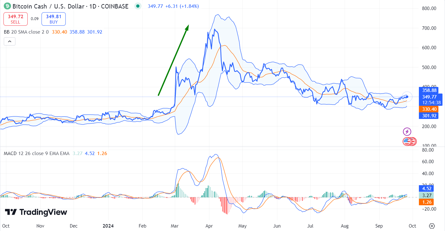 El recorrido más reciente de Bitcoin Cash