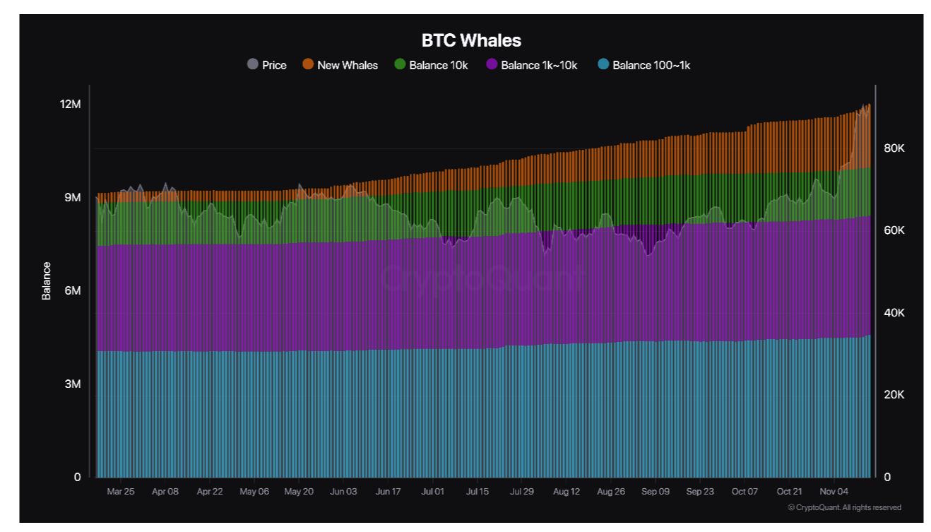 สัดส่วนการถือของ Whale ใน BTC ยังคงสูง