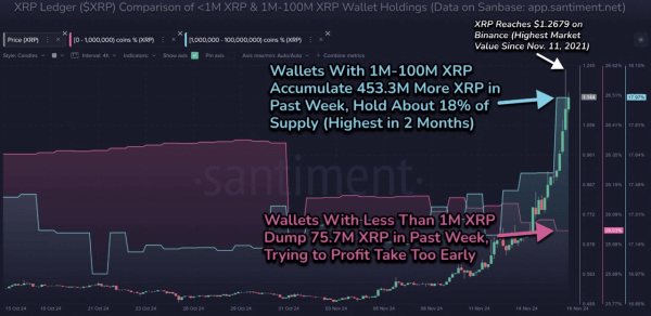 การถือครองกระเป๋าเงิน Whale ใน XRP 