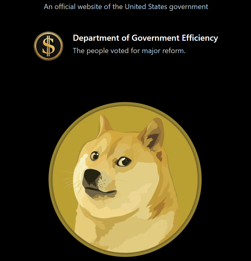 Department of Government Efficiency website